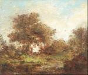 Paysage Aux Chenes Feuillus Paysage Aux Chenes Feuillus