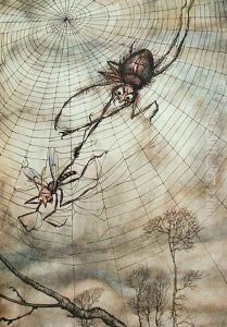 The Spider and the Fly, illustration from Aesops Fables, published by Heinemann, 1912