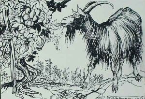 The Goat and the Vine, illustration from Aesops Fables, published by Heinemann, 1912 by Arthur Rackham