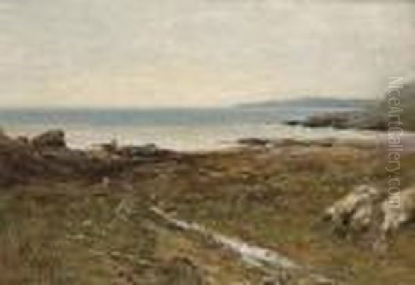 The Devon Coast - view 1