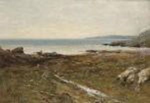 The Devon Coast by Henry Moore