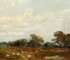 Sheep Grazing In A Landscape