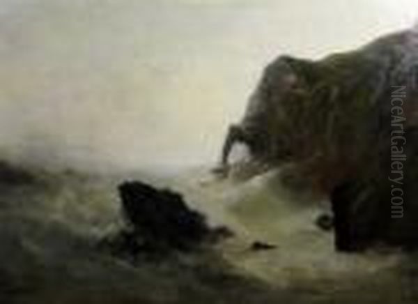 Coastal Landscape - view 1