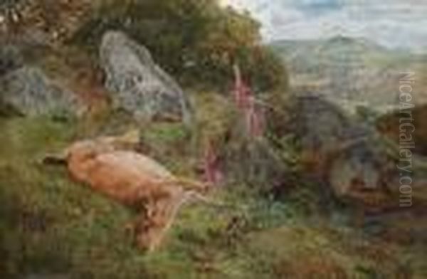 A Fallen Deer In A Clearing - view 1