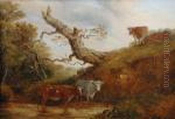 Cattle Watering In A Pond - view 1