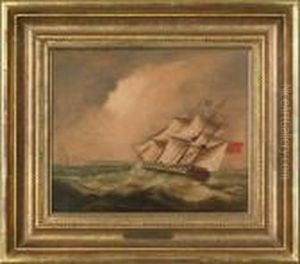 Ship Portrait