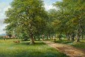 A Tree-lined Avenue