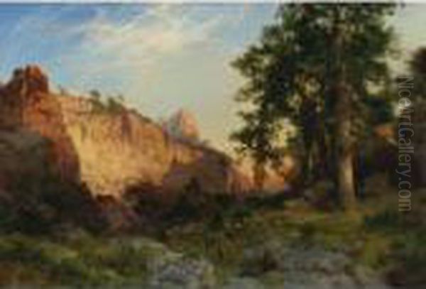 Coconino Pines And Cliff, Arizona - view 1
