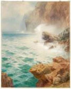 Rocky Coastal Scene With Birds Rocky Coastal Scene With Birds