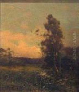 Landscape With Tree