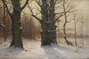 Rayons De Soleil Sur Un Paysage Enneige by Walter Moras