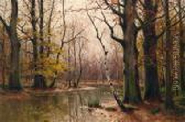 Herbstliche Flusslandschaft - view 1