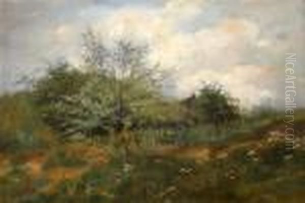 Buhende Wiese - view 1