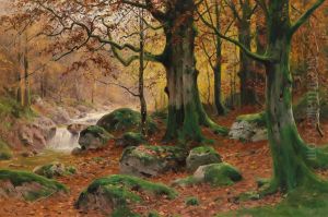 Herbstwald by Walter Moras