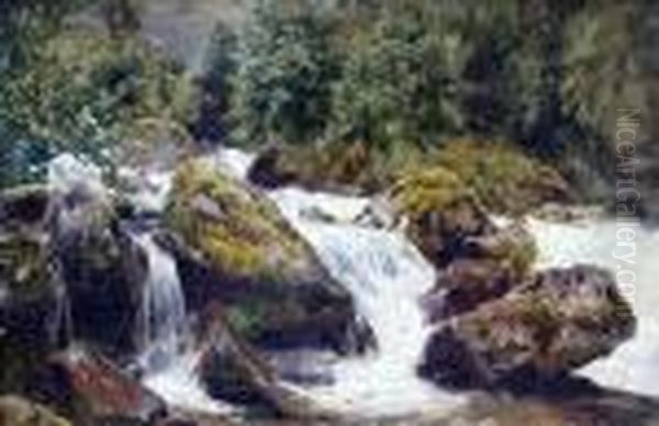 Steiniges Flussufer - view 1