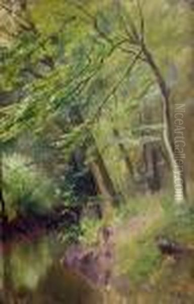 Waldlichtung Im Fruhling - view 1