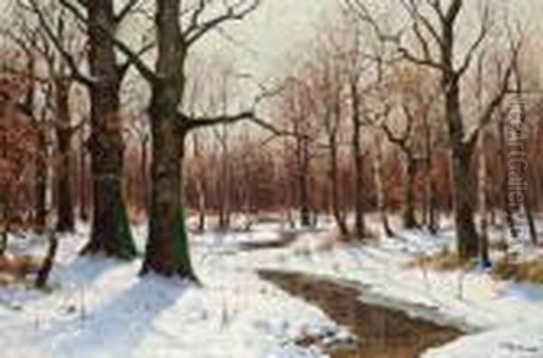 Winterwald - view 1