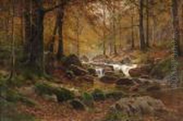 Herbstlicher Wald Mit Bachlauf. - view 1