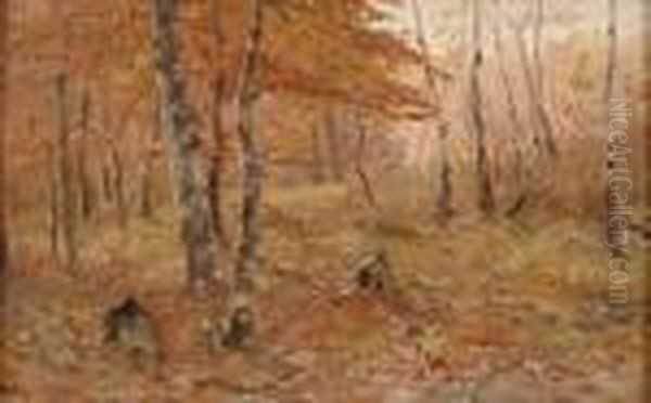 Herbstwald. - view 1
