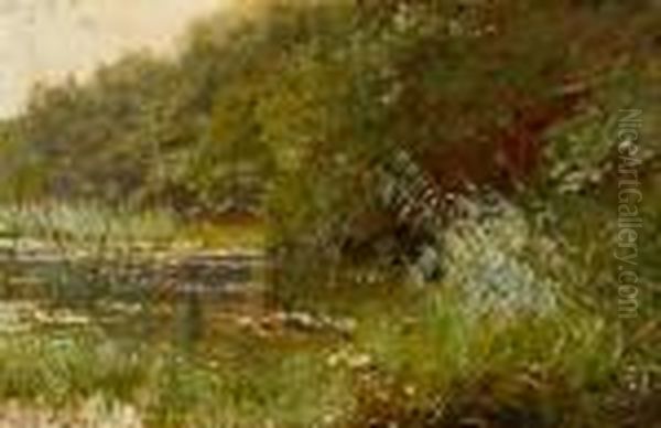 Waldteich Mit Seerosen - view 1