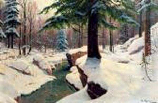 A Forest In Winter - view 1