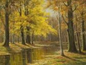 Bachlauf Im Herbstwald.