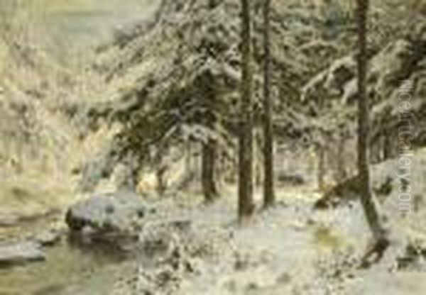 Winterwald. - view 1