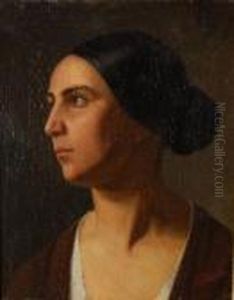 Volto Femminile Volto Femminile