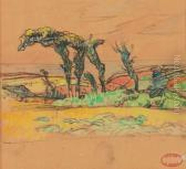 Pins Sur La Cote-bretagne - view 1