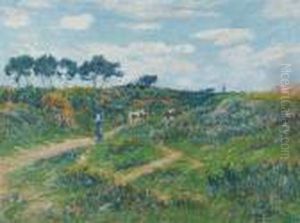Chemin Dans La Lande, Bretagne