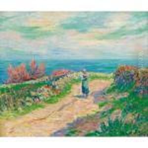 Chemin Au Bord De La Mer