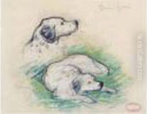 Etude De Chiens Etude De Chiens