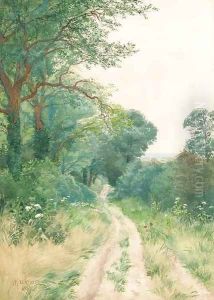 A Sussex lane by Arthur Rackham
