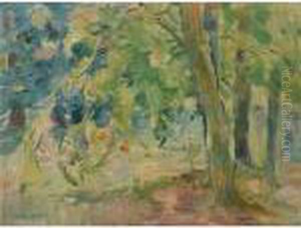 Le Bois Du Mesnil - view 1