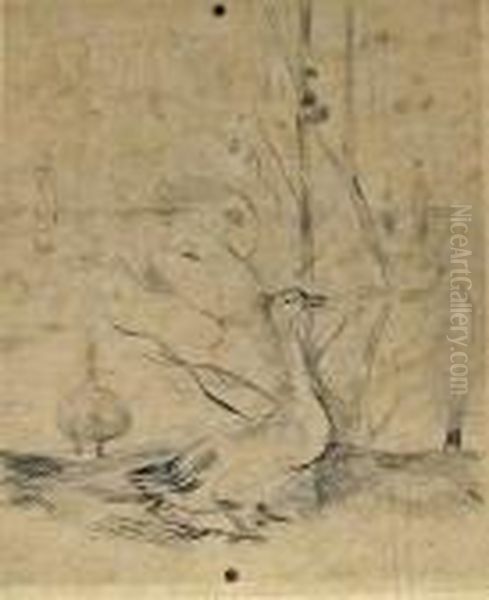 Les Canards - view 1