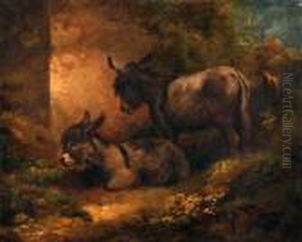 Donkeys By A Barn - view 1