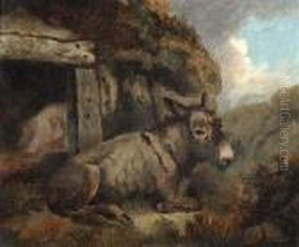 A Mule Resting Outside A Barn - view 1