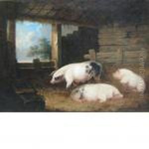 Three Sows In A Pen by George Morland