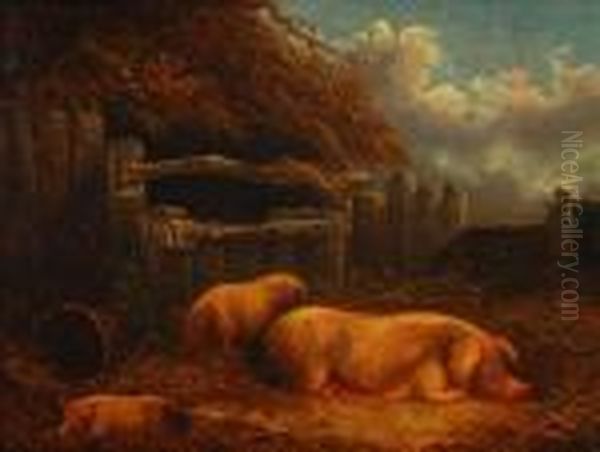 A Pigsty With A Sowand Her Piglets - view 1