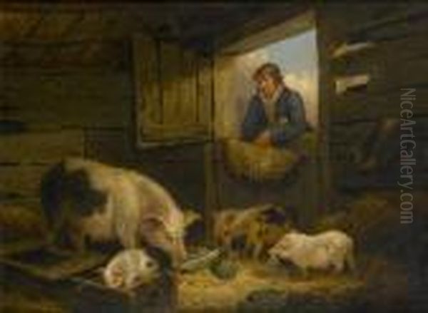 A Boy Looking Into A Pigsty - view 1