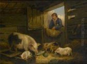 A Boy Looking Into A Pigsty A Boy Looking Into A Pigsty