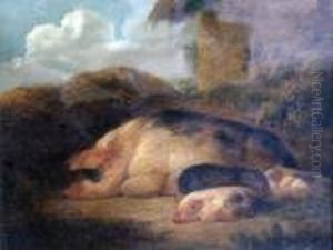 A Sow And Her Piglets Resting Beside A Thatched Barn