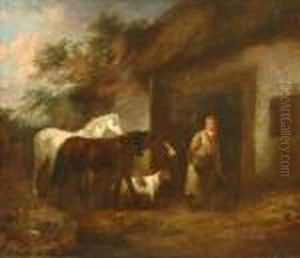 The Horse Feeder