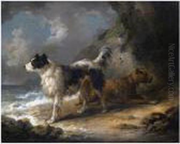 Dogs On The Coast - view 1