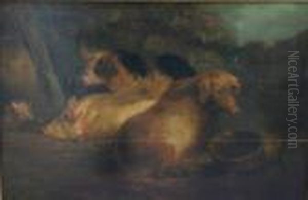 Three Pigs And Piglet In A Yard - view 1