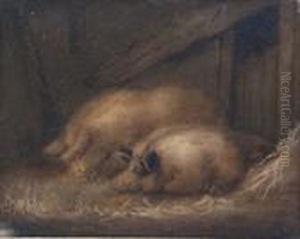 Two Pigs In A Stable - view 1