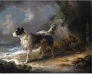 Dogs By The Sea Dogs By The Sea