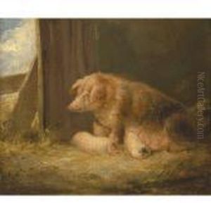 A Sow And Her Piglets