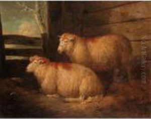 Two Sheep In A Stable