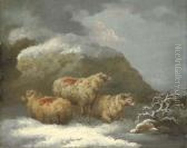 Sheep In A Winter Landscape - view 1